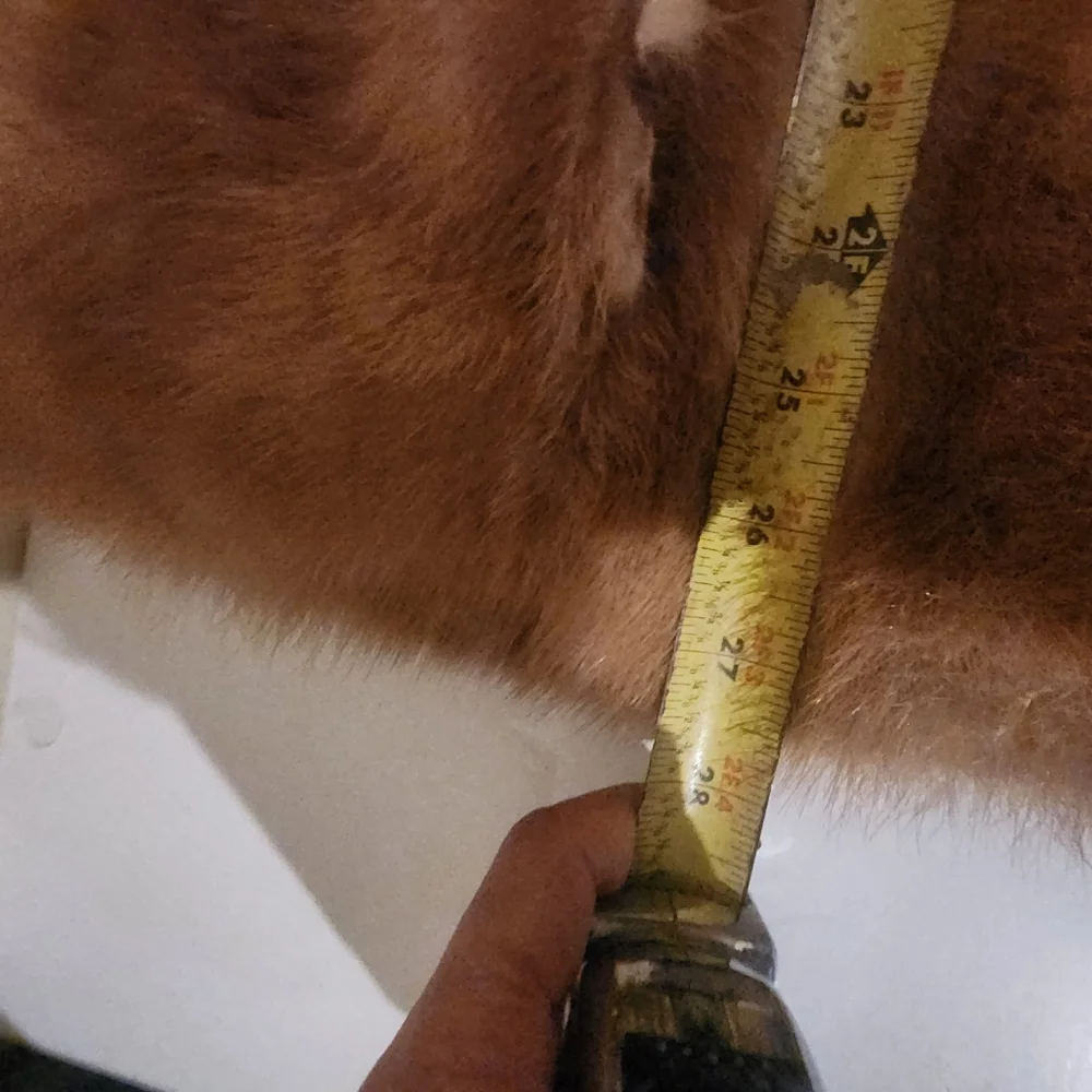 NEIMAN MARCUS Vintage Tan Fur Stole Wrap